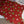 Christmas Stockings - BM Custom Design
